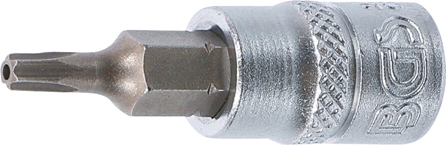 Uzgaļu ieliktnis | Piedziņas iekšējais kvadrāts 6,3 mm (1/4") | T veida profils (Torx) ar urbumu T15