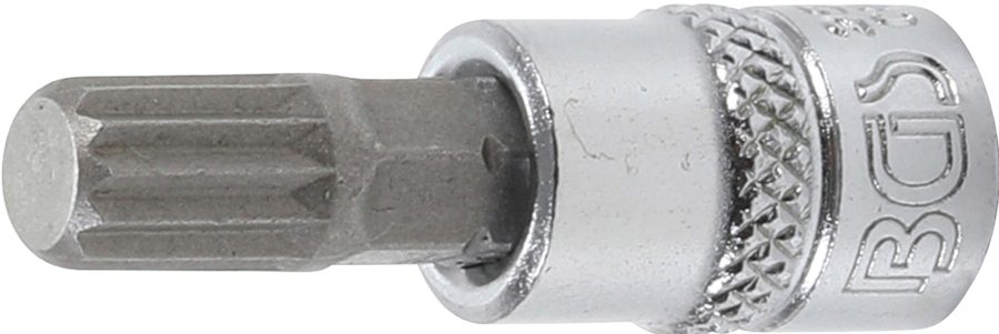 Uzgaļu ieliktnis | Piedzīt iekšējo kvadrātu 6,3 mm (1/4 collas) | iekšējā šķautne (XZN) M8