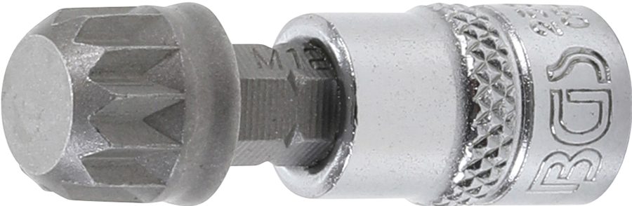 Uzgaļu ieliktnis | Piedzīt iekšējo kvadrātu 6,3 mm (1/4 collas) | iekšējā šķautne (XZN) M12