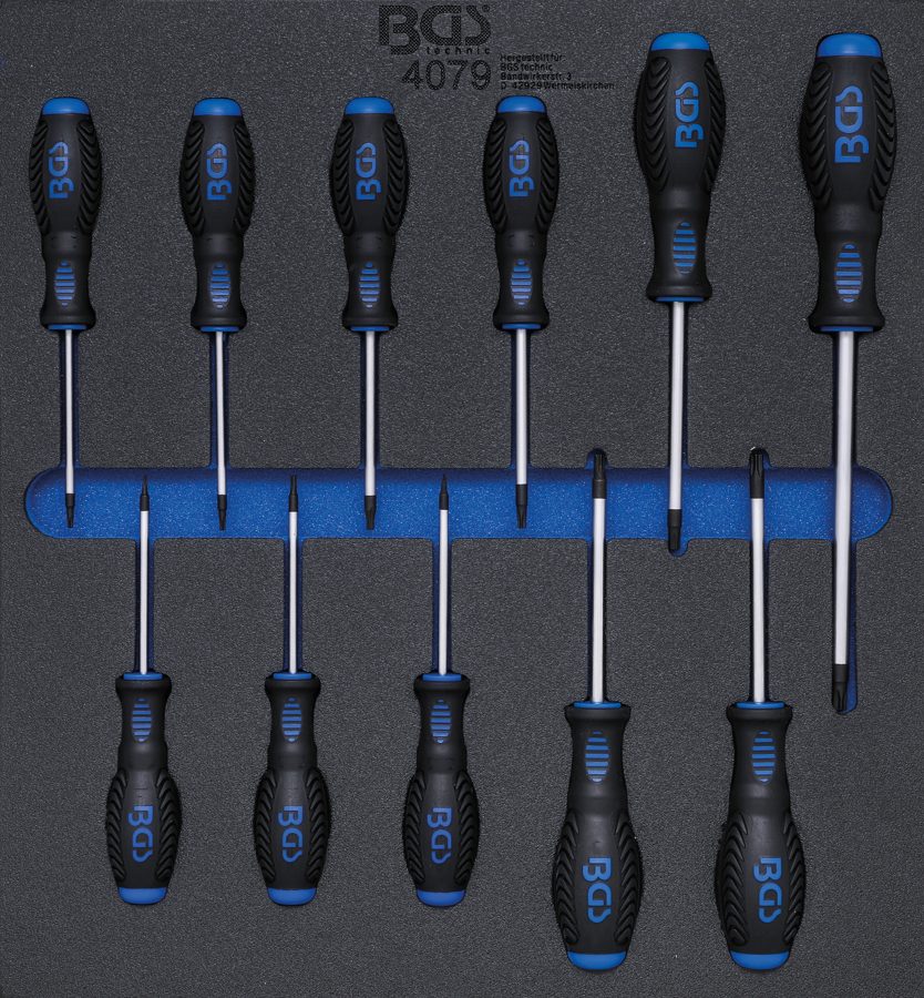 Darbnīcas ratiņu ieliktnis 2/3: skrūvgrieža T-profils (Torx) | T6 - T40 | 11 gab.