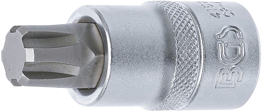 Uzgaļu ieliktnis | Iekšējā kvadrātveida piedziņa 12,5 mm (1/2") | Ķīļa profils (RIBE) M14