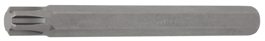 Bits | Garums 100mm | Piedziņas ārējais sešstūris 10 mm (3/8") | ķīļa profils (RIBE) M10.3