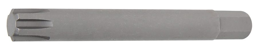 Bits | Garums 100mm | Ārējā sešstūra piedziņa 10 mm (3/8") | Ķīļa profils (RIBE) M12