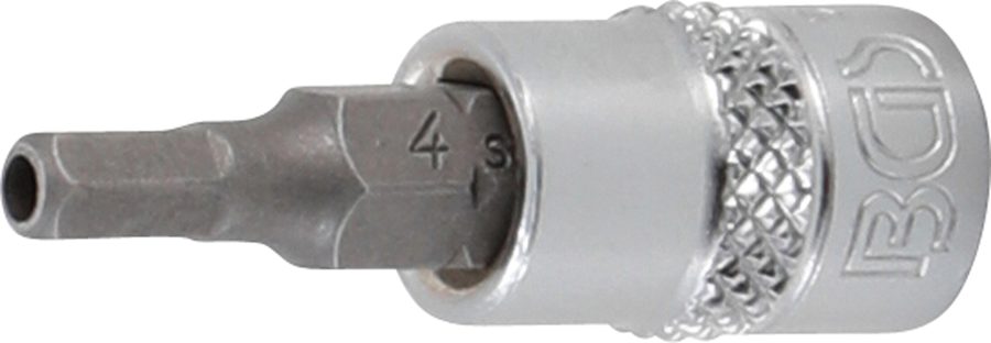 Uzgaļu ieliktnis | Piedziņas iekšējais kvadrāts 6,3 mm (1/4") | iekšējais sešstūris ar urbumu 4 mm
