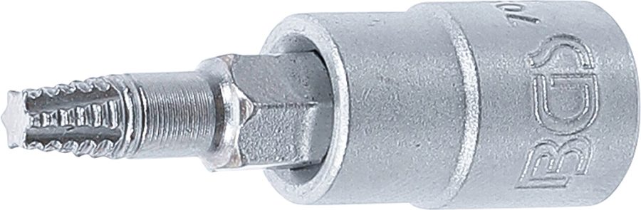 Skrūves nosūcēja uzgaļa ieliktnis | Iekšējā kvadrātveida piedziņa 6,3 mm (1/4") | bojātam T veida profilam (Torx) T20
