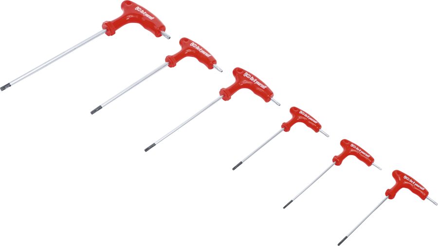 T veida roktura skrūvgriežu komplekts ar sānu asmeni | T-profils (Torx) ar urbumu T10 - T40 | 6 gab.