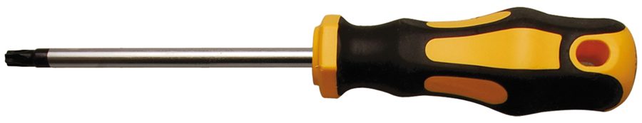 Skrūvgriezis | T-profils (Torx) T27 | Asmens garums 100 mm