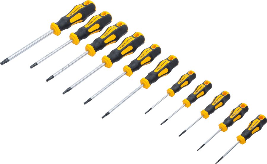 Skrūvgriežu komplekts | T-profils (Torx) ar urbumu T6 - T40 | 11 gab.
