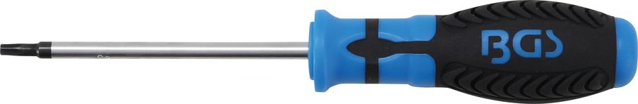 Skrūvgriezis | T-profils (Torx) ar atveri T25 | Asmens garums 100 mm