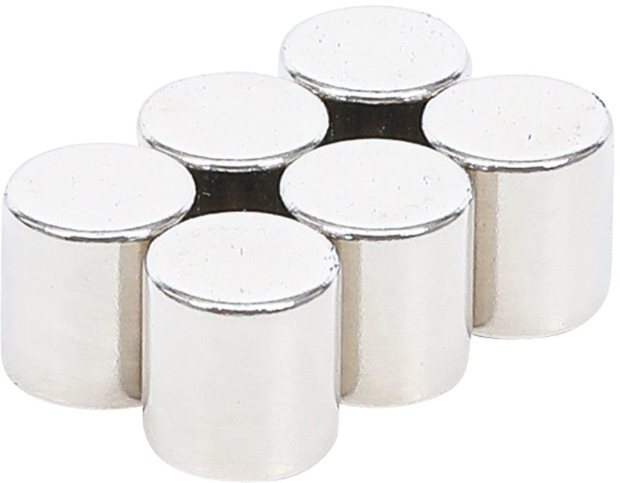 Magnētu komplekts | īpaši spēcīgs | Ø 9,5 mm | 6 gab.