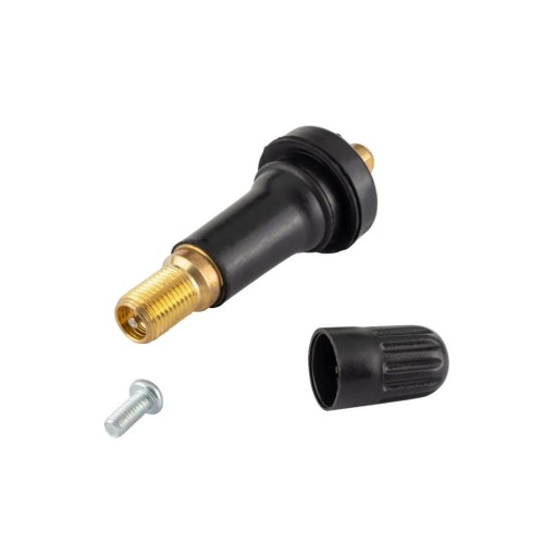 GUMIJAS VĀRSTS VIEGLAJIEM AUTOMOBIĻIEM F-TR413TPMS