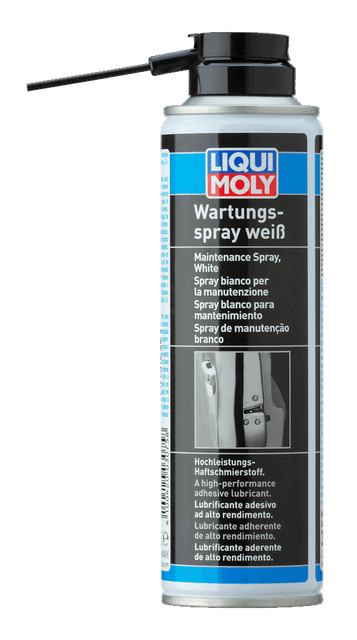 Apkopes aerosols, balts 250 ml