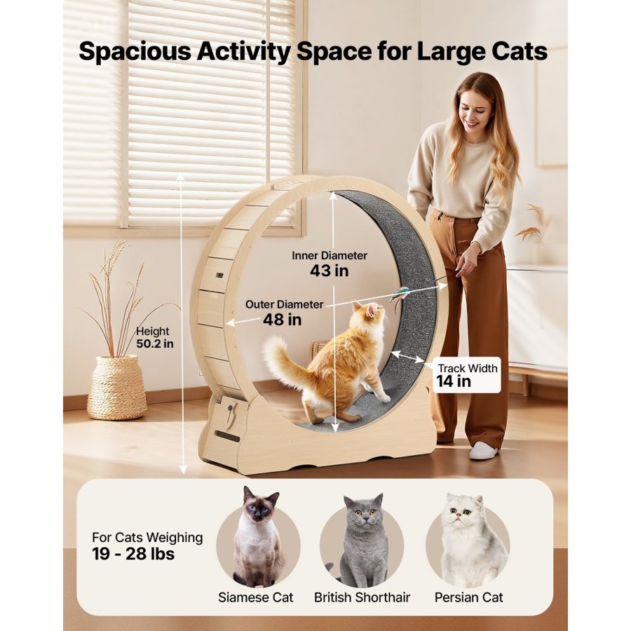 VEVOR Indoor Cat Exercise Wheel – Locking, 48 In, 28 Lbs