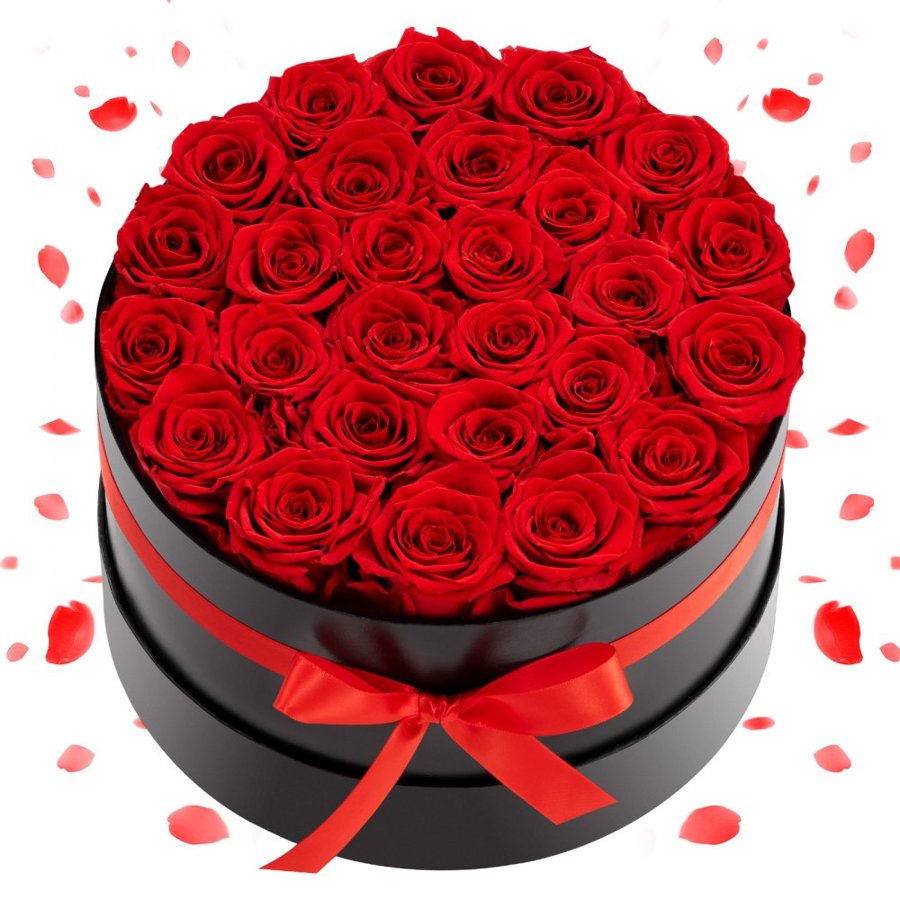 VEVOR Long Lasting Roses Box – 27 Preserved, 2 Red